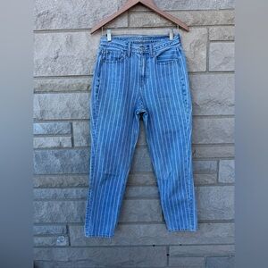 American Eagle Womens High Rise Mom Jeans Size 2 Blue White Striped Tapered Leg